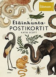 Eläinkunta-postikortit 50 kpl For Cheap