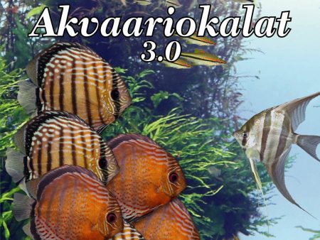 Akvaariokalat 3.0 Online