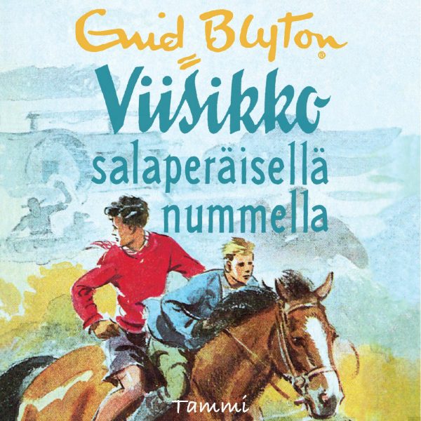 Viisikko salaperäisellä nummella Discount