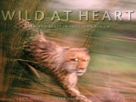 Wild At Heart: Man & Beast In Southern Africa Online Sale